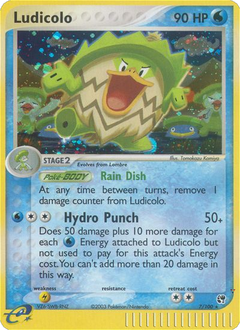 Card 7