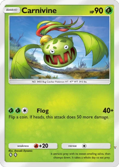 Card 19