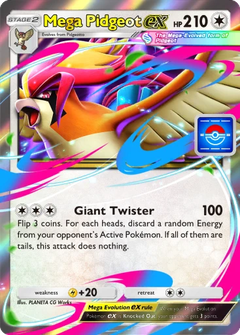Card 6