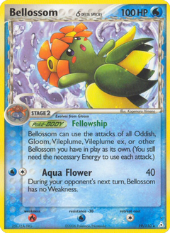 Card 19