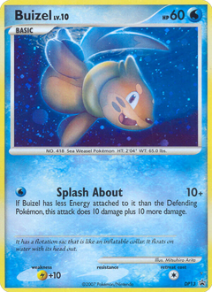 Card DP13