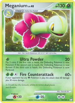 Card 13