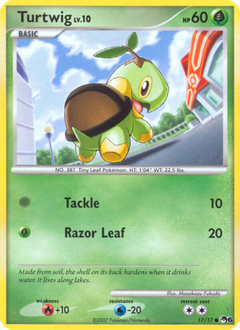 Card 17
