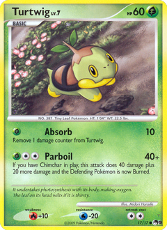 Card 17