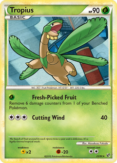Card 22