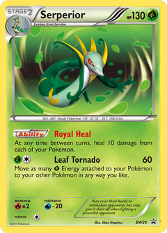 Card BW20