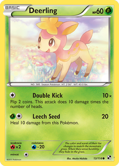 Card 13