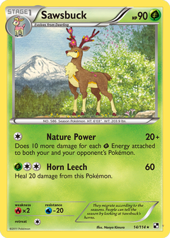 Card 14