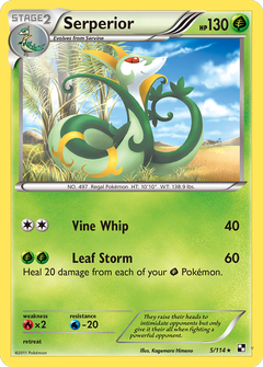 Card 5