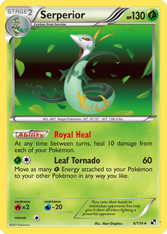 Card 6