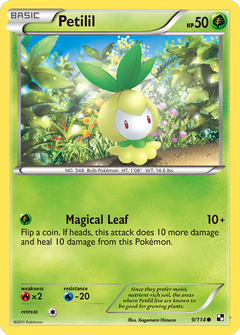Card 9