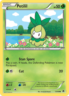 Card 13