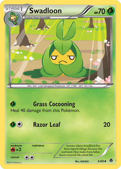 Card 6