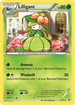 Card 5