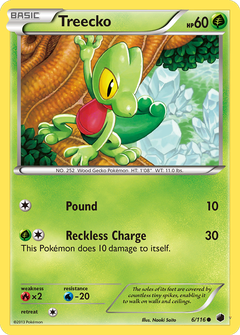 Card 6