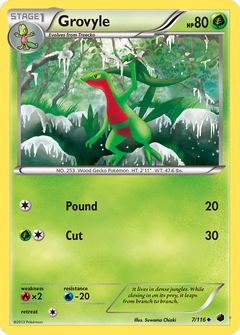 Card 7