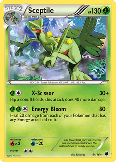 Card 8