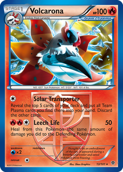 Card 13