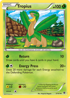 Card 5