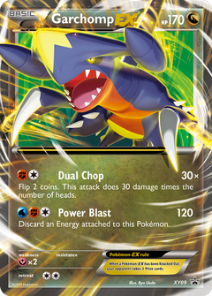 Card XY09