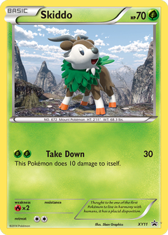 Card XY11