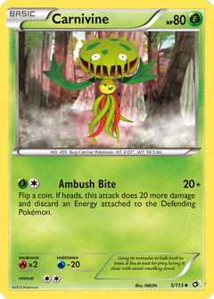 Card 5