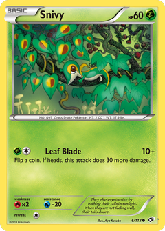 Card 6