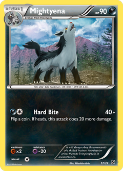 Card 17