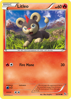 Card 19