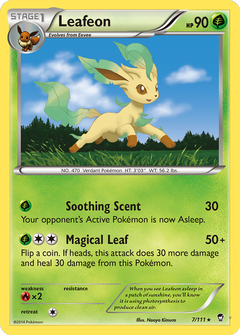Card 7