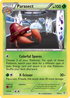 Card 7