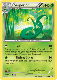 Card 7