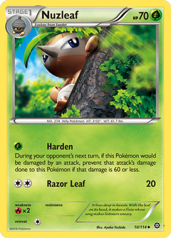 Card 10