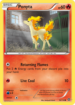 Card 16