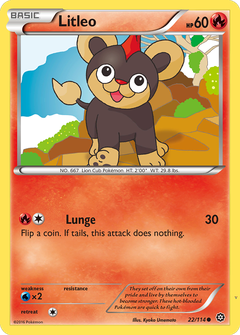 Card 22