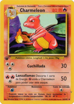 Card 24