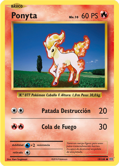 Card 19