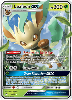 Card 13
