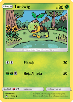 Card 7