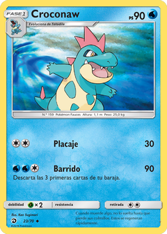 Card 23