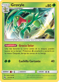Card 21