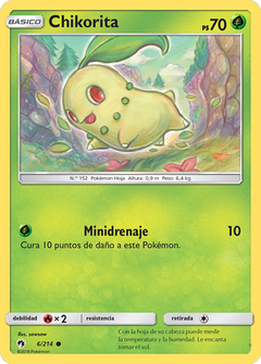 Card 6