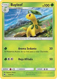 Card 7