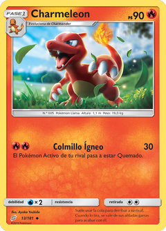 Card 13
