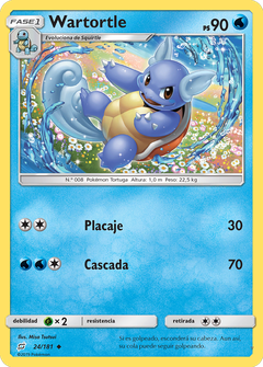 Card 24