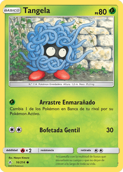Card 16