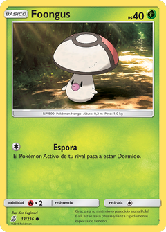 Card 13