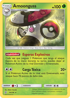 Card 14
