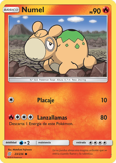 Card 23