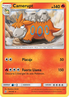 Card 24